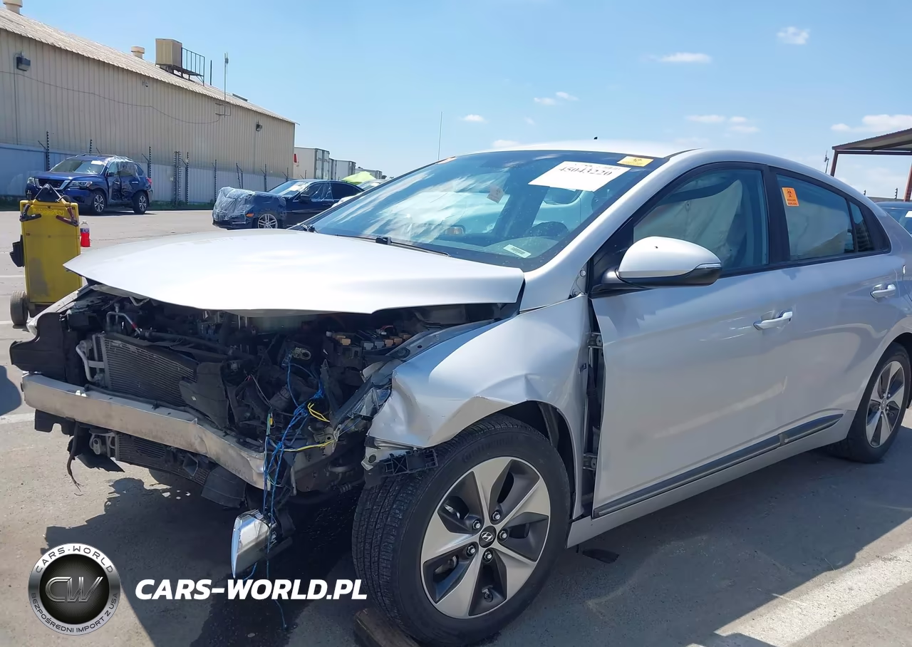 2019 Hyundai Ioniq Electric VIN:KMHC75LH7KU045886 - 14