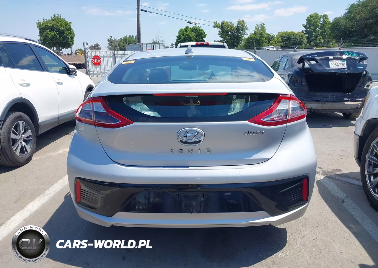 2019 Hyundai Ioniq Electric VIN:KMHC75LH7KU045886 - 16