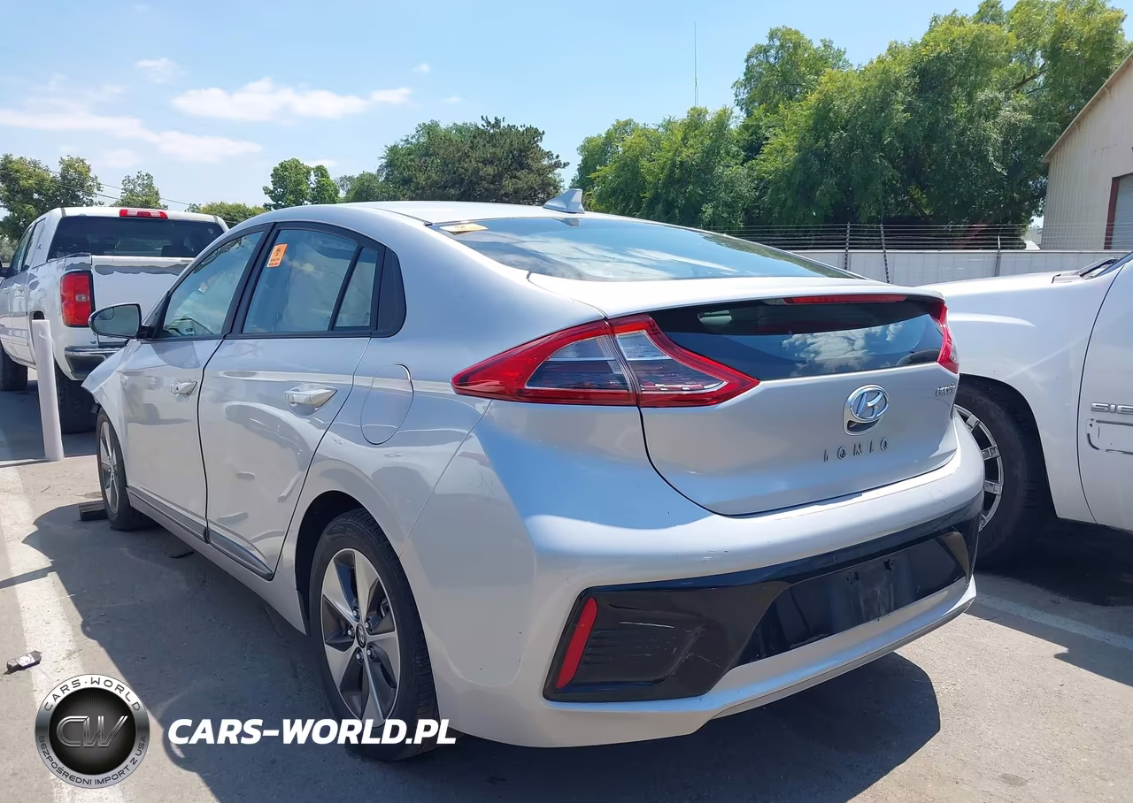 2019 Hyundai Ioniq Electric VIN:KMHC75LH7KU045886 - 3