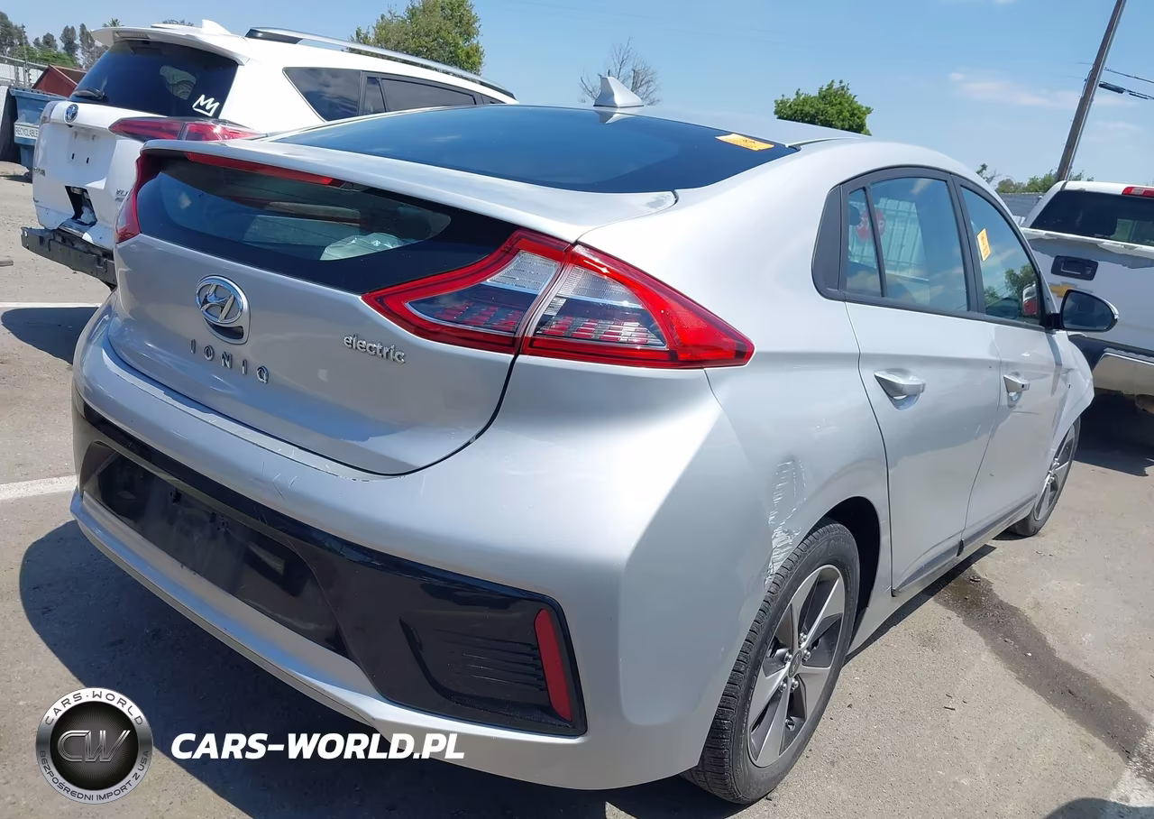 2019 Hyundai Ioniq Electric VIN:KMHC75LH7KU045886 - 4