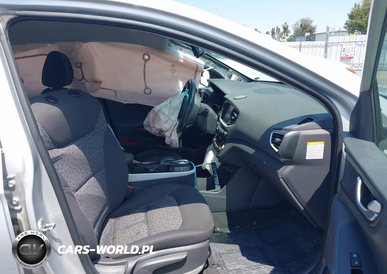 2019 Hyundai Ioniq Electric VIN:KMHC75LH7KU045886 - 5