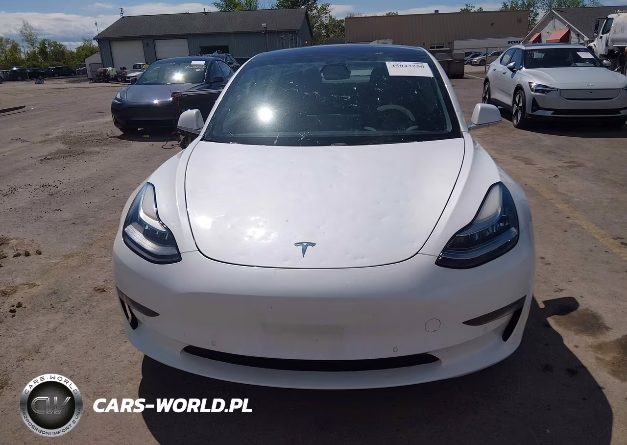 2019 Tesla Model 3 Long Range-Performance VIN:5YJ3E1EB5KF437432 - 12