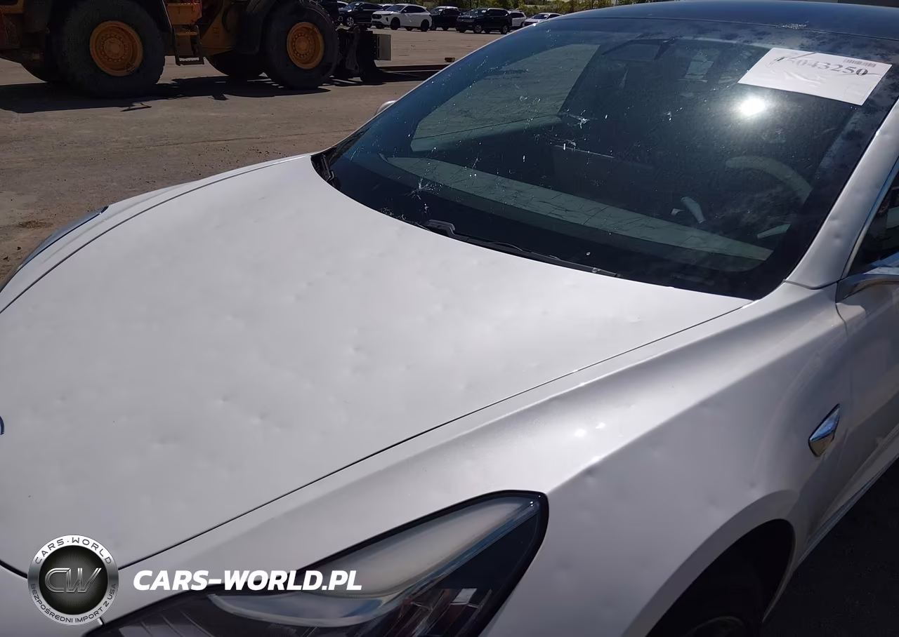 2019 Tesla Model 3 Long Range-Performance VIN:5YJ3E1EB5KF437432 - 6
