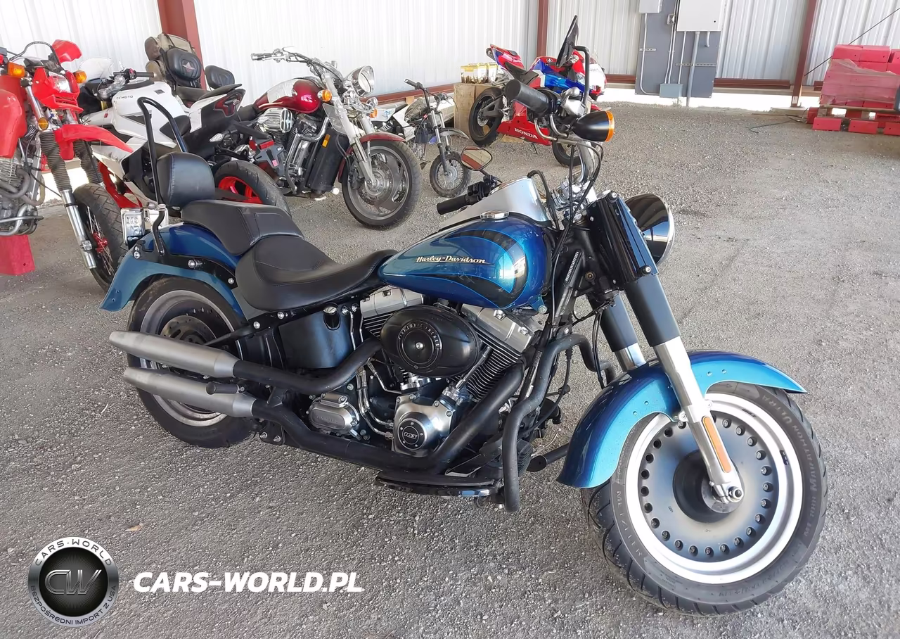2014 Harley-Davidson Flstfb Fatboy Lo