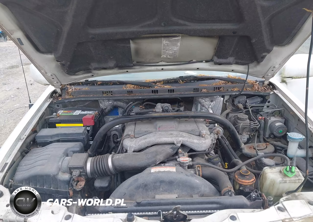 2006 Suzuki Xl-7 Premium VIN:JS3TY92V064100055 - 10