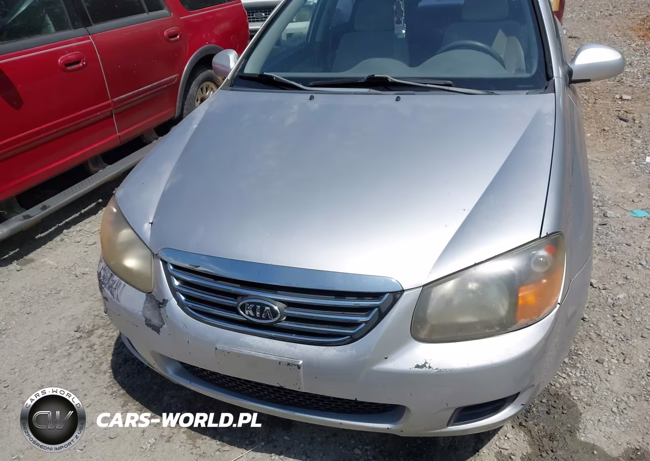 2009 Kia Spectra Ex VIN:KNAFE221295618804 - 10