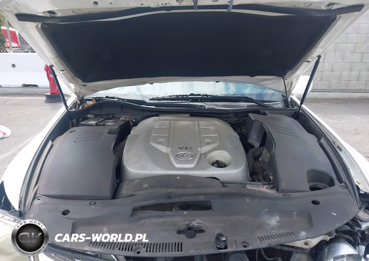 2006 Lexus Gs 300 VIN:JTHBH96S565016378 - 10