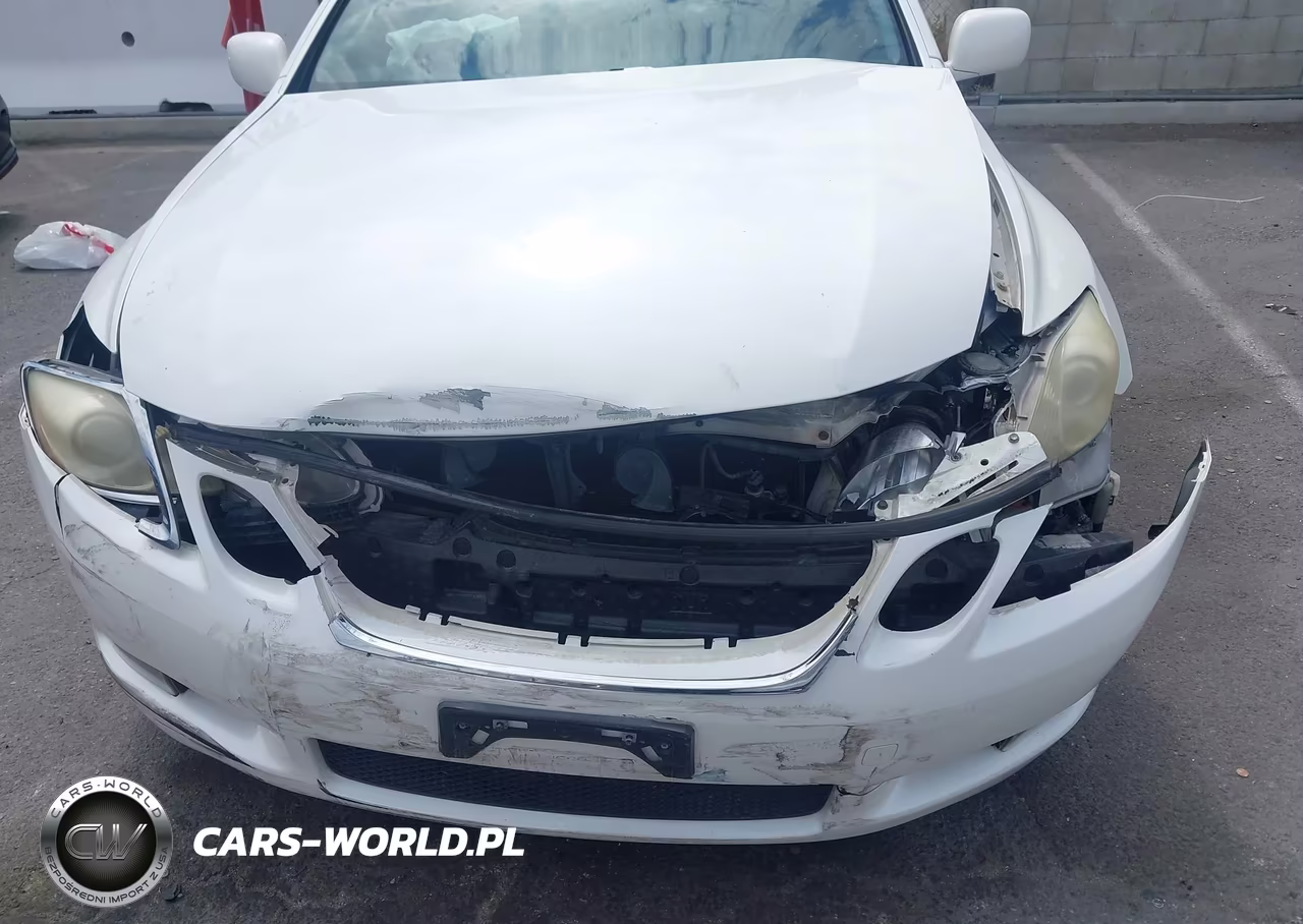 2006 Lexus Gs 300 VIN:JTHBH96S565016378 - 6