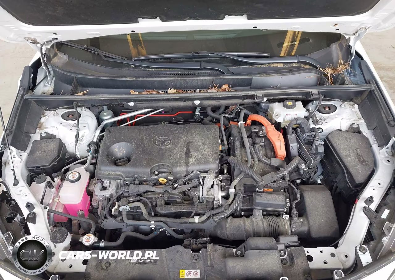 2020 Toyota Rav4 Hybrid Xle VIN:2T3RWRFVXLW079495 - 10