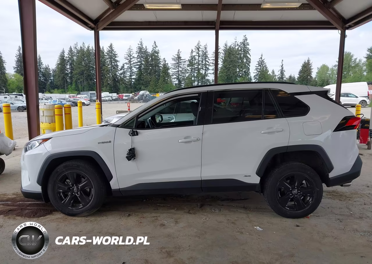 2020 Toyota Rav4 Hybrid Xle VIN:2T3RWRFVXLW079495 - 14