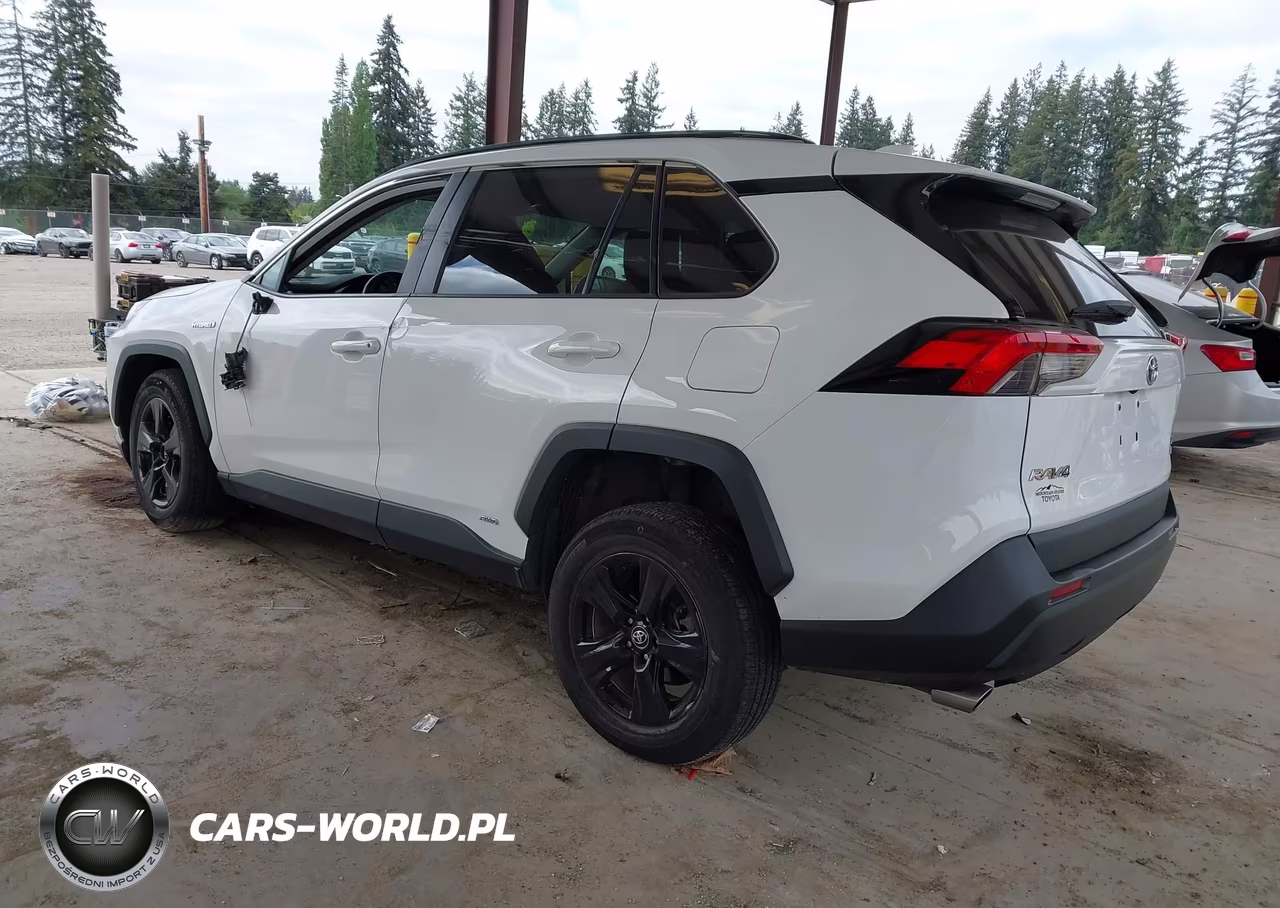 2020 Toyota Rav4 Hybrid Xle VIN:2T3RWRFVXLW079495 - 3