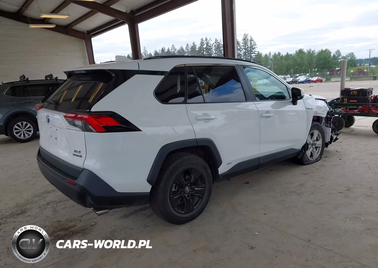2020 Toyota Rav4 Hybrid Xle VIN:2T3RWRFVXLW079495 - 4