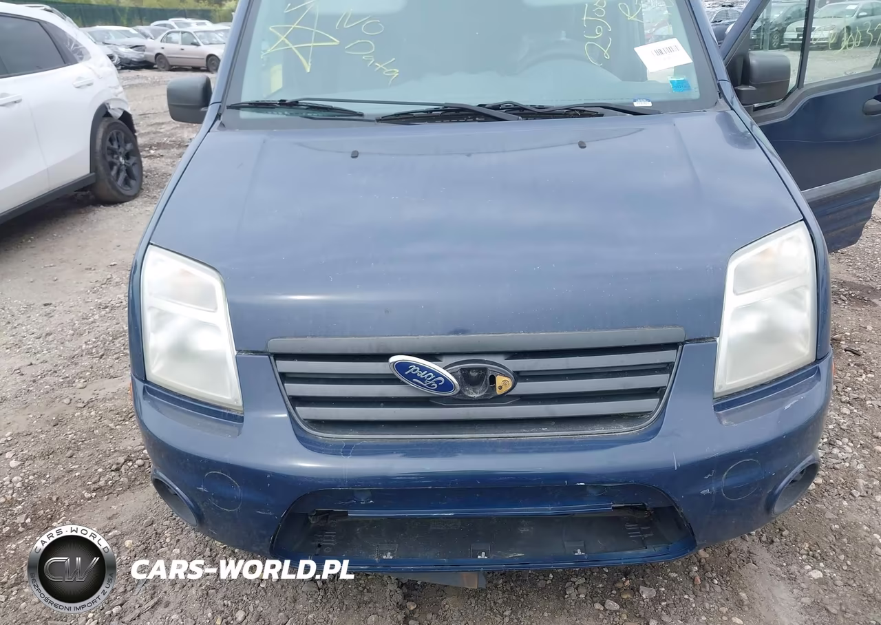 2010 Ford Transit Connect Xlt VIN:NM0LS7BN7AT007971 - 10