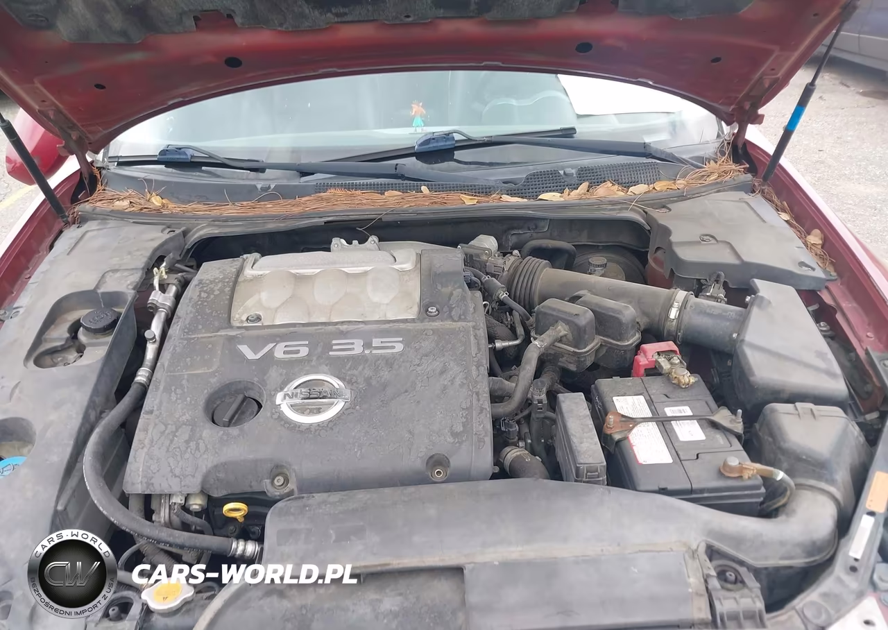 2005 Nissan Maxima 3.5 Sl VIN:1N4BA41E55C838849 - 10