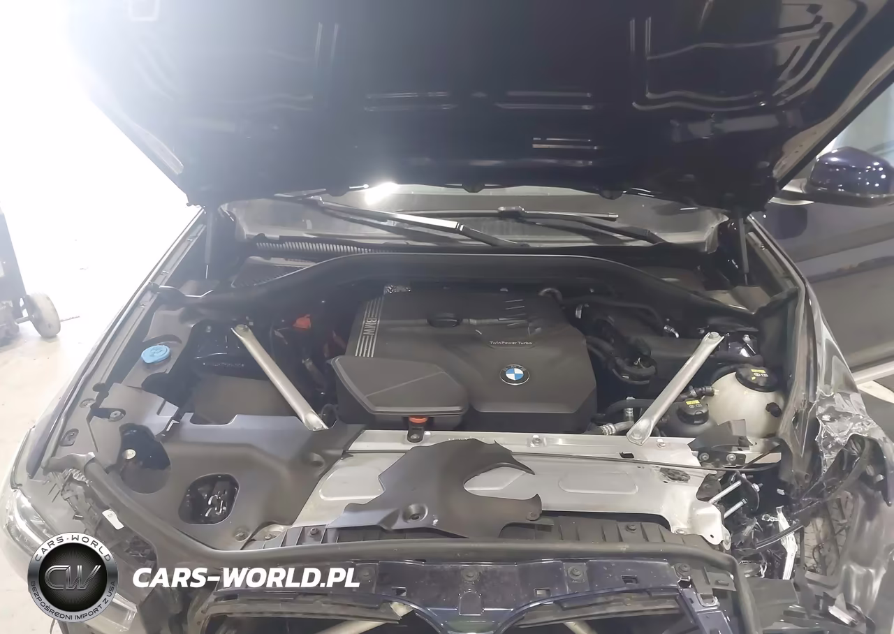 2023 BMW X3 xDrive30I VIN:5UX53DP07P9P84787 - 10