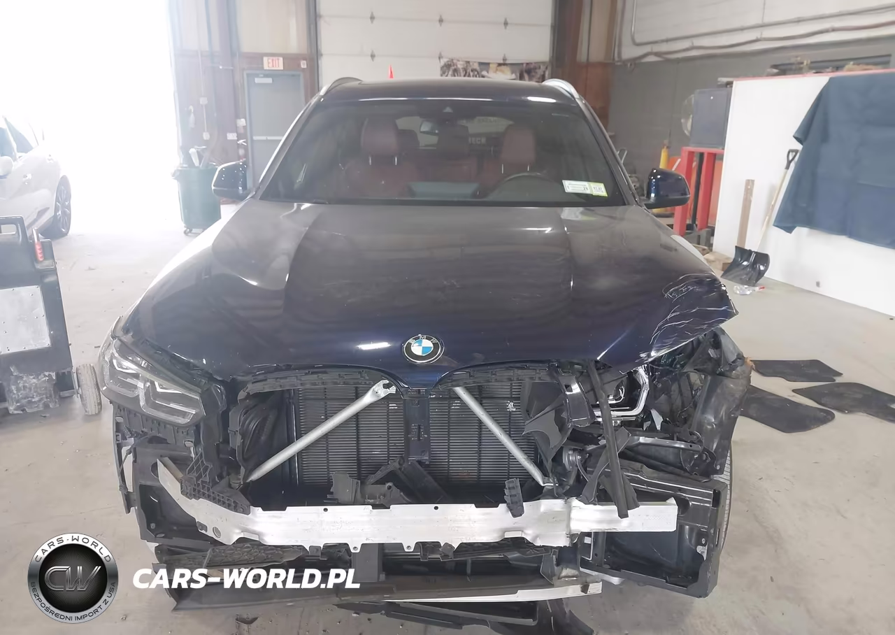 2023 BMW X3 xDrive30I VIN:5UX53DP07P9P84787 - 12
