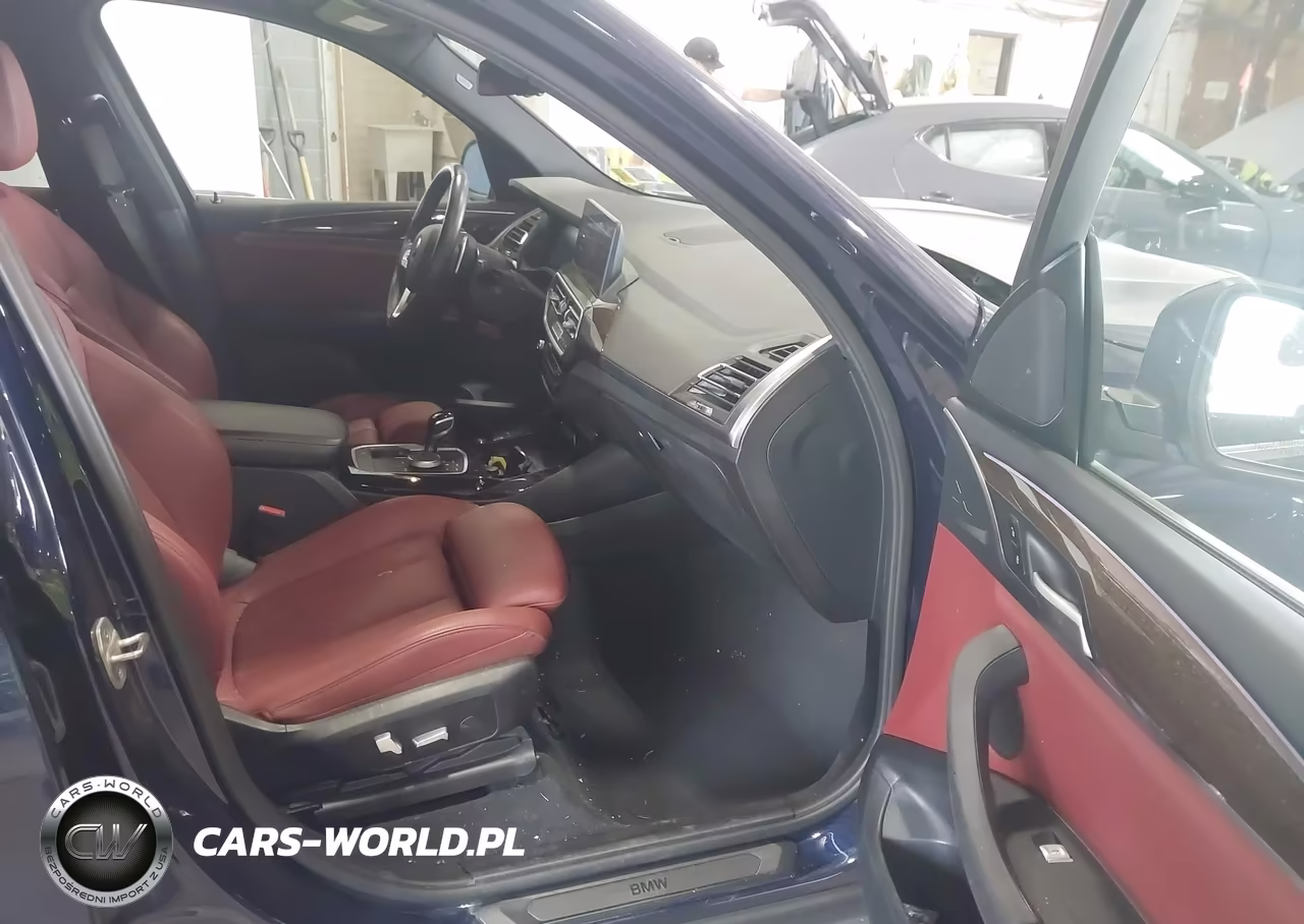 2023 BMW X3 xDrive30I VIN:5UX53DP07P9P84787 - 5