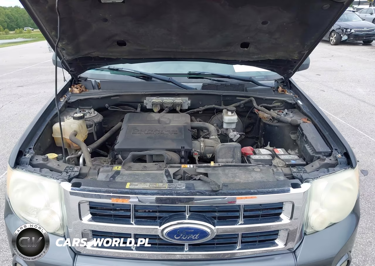 2009 Ford Escape Xlt VIN:1FMCU93G19KB86823 - 10