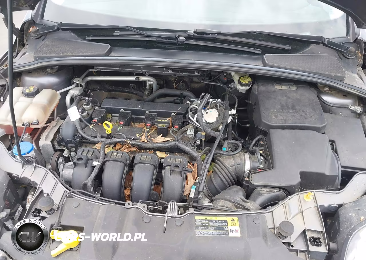 2014 Ford Focus Se VIN:1FADP3F27EL112541 - 10