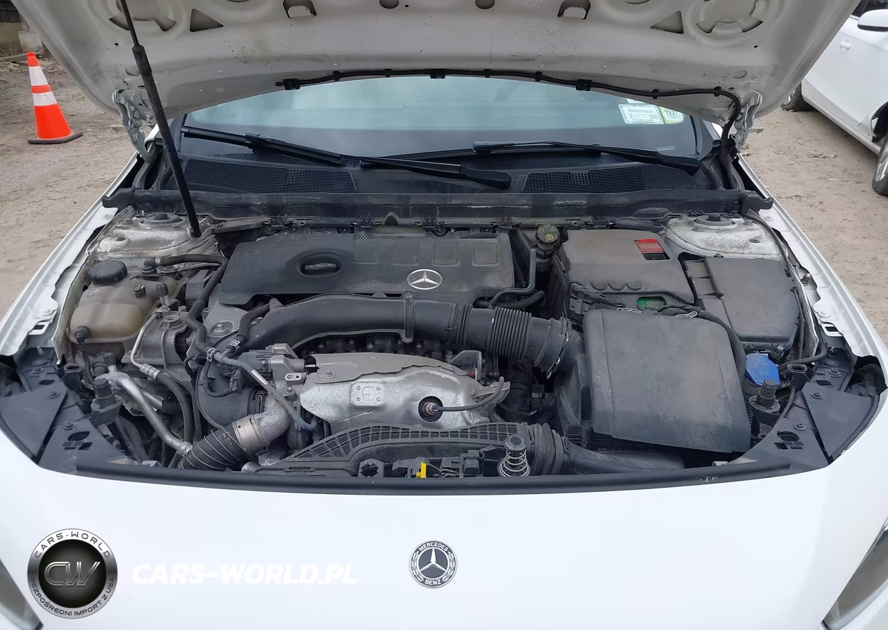 2019 Mercedes-Benz A 220 4Matic VIN:WDD3G4FB6KW020848 - 10