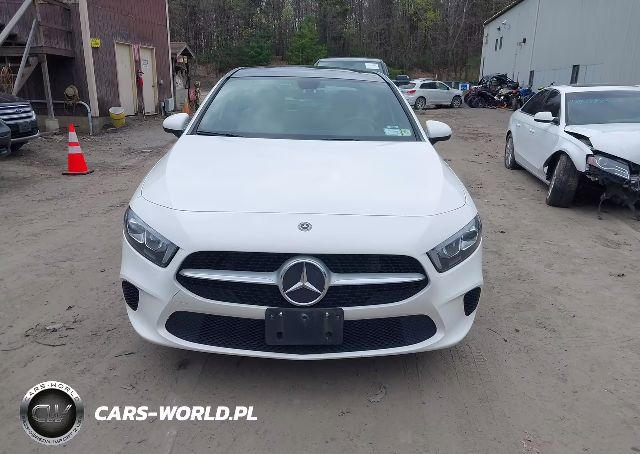 2019 Mercedes-Benz A 220 4Matic VIN:WDD3G4FB6KW020848 - 12
