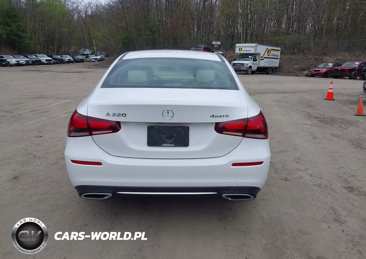2019 Mercedes-Benz A 220 4Matic VIN:WDD3G4FB6KW020848 - 16