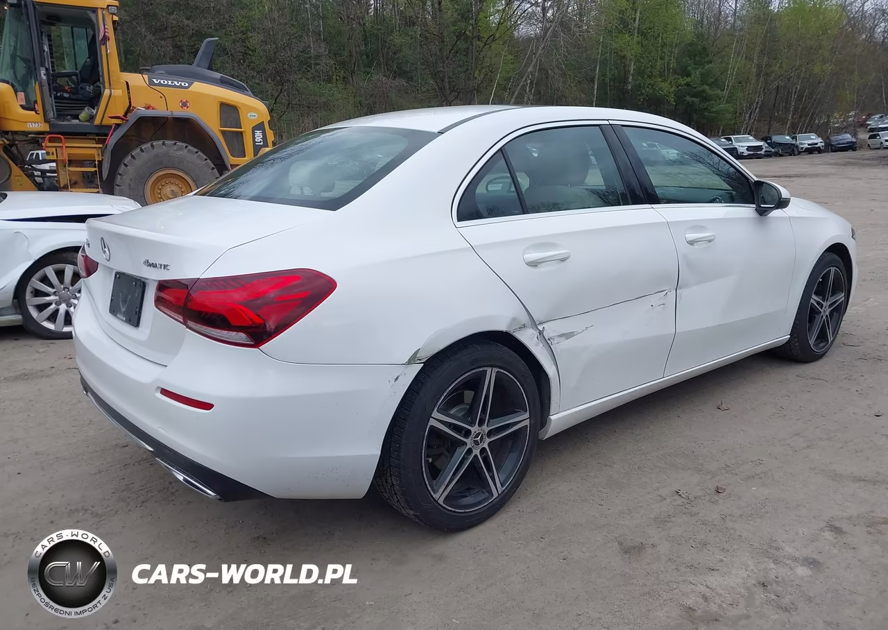 2019 Mercedes-Benz A 220 4Matic VIN:WDD3G4FB6KW020848 - 4