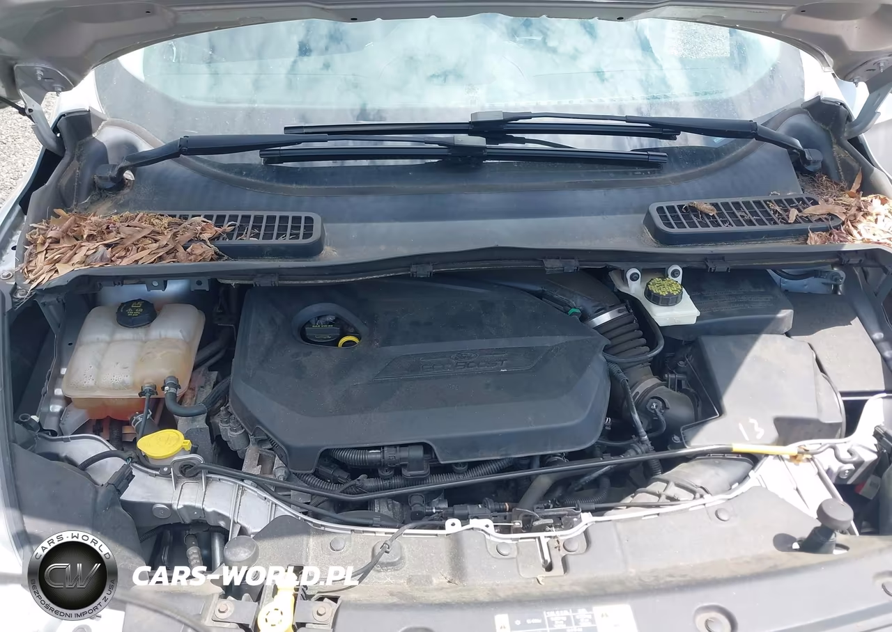 2014 Ford Escape Se VIN:1FMCU0GX9EUD32566 - 10