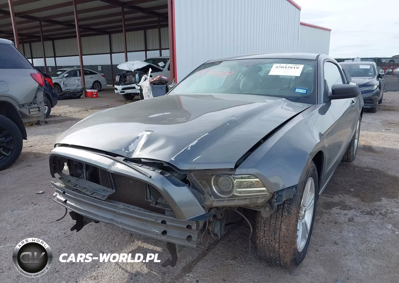 2013 Ford Mustang V6 VIN:1ZVBP8AM7D5226708 - 2