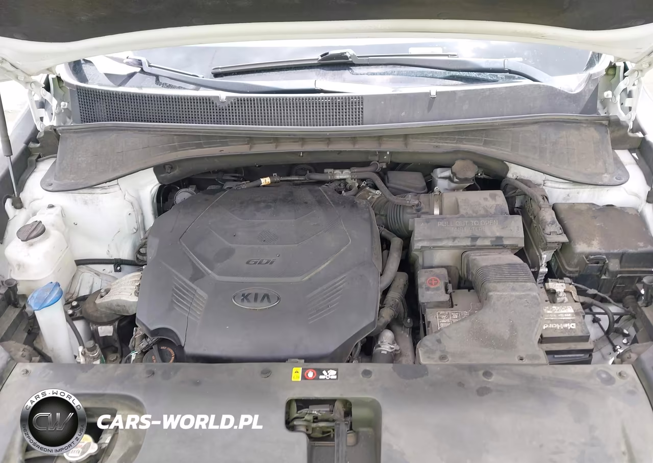 2019 Kia Sorento 3.3L Sx VIN:5XYPKDA53KG467100 - 10
