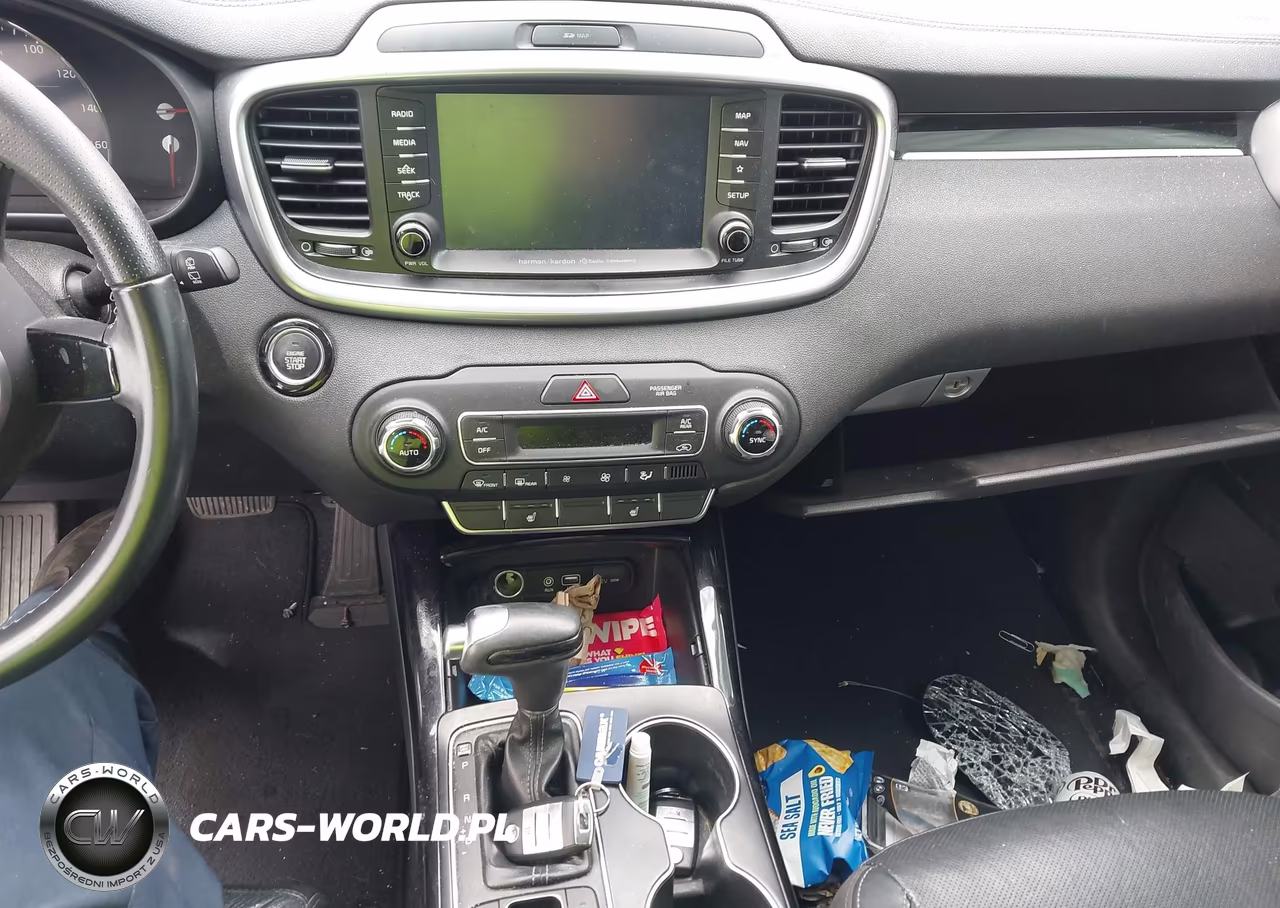 2019 Kia Sorento 3.3L Sx VIN:5XYPKDA53KG467100 - 11