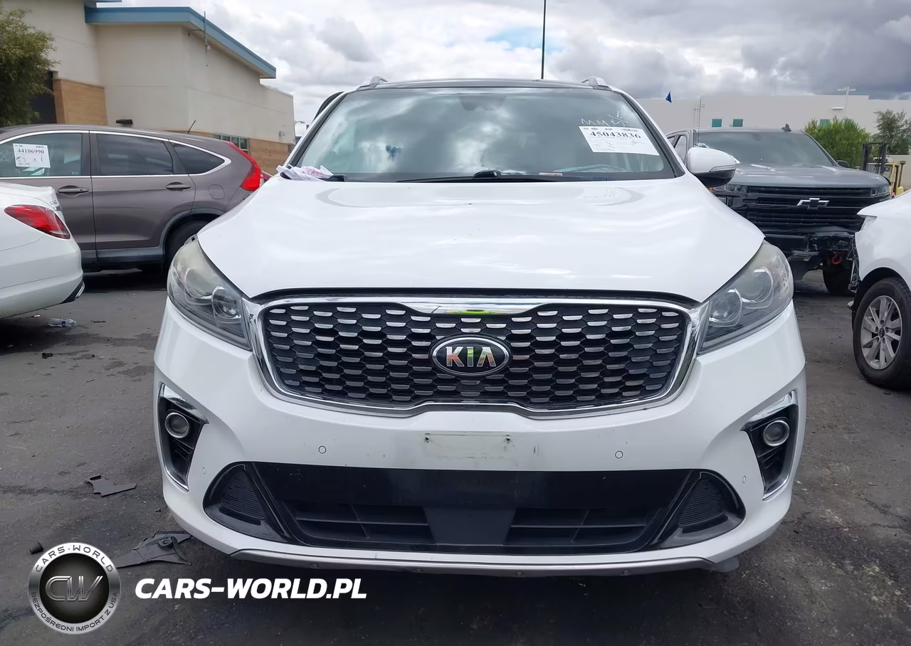 2019 Kia Sorento 3.3L Sx VIN:5XYPKDA53KG467100 - 12