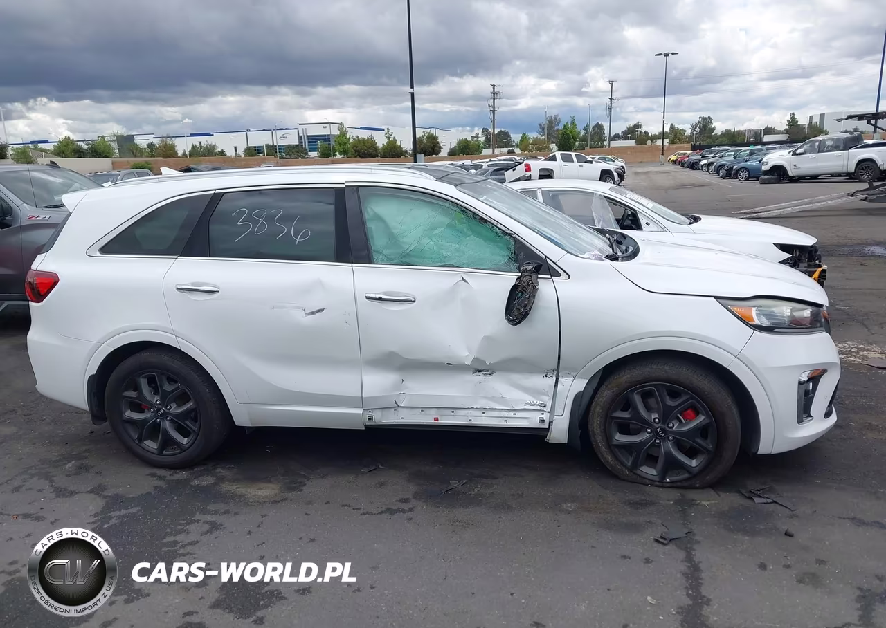 2019 Kia Sorento 3.3L Sx VIN:5XYPKDA53KG467100 - 13