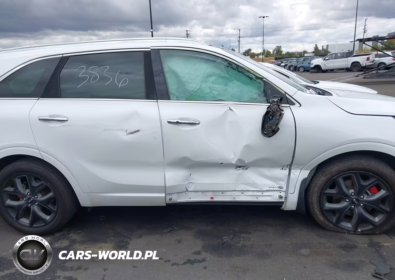2019 Kia Sorento 3.3L Sx VIN:5XYPKDA53KG467100 - 6