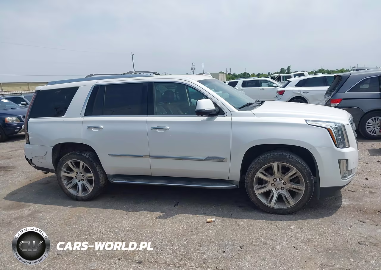 2016 Cadillac Escalade Luxury Collection VIN:1GYS3BKJ2GR243889 - 13