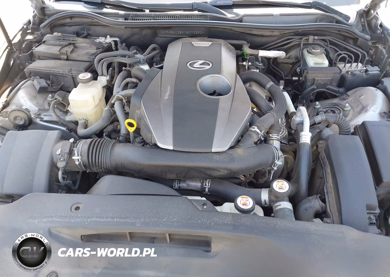 2018 Lexus Is 300 VIN:JTHBA1D2XJ5070390 - 10