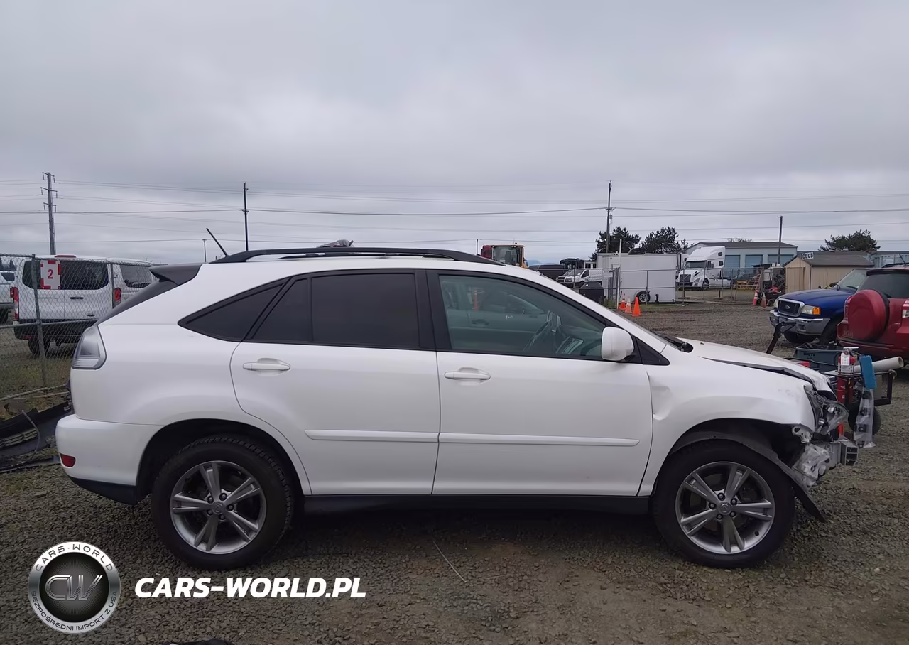 2006 Lexus Rx 400H VIN:JTJHW31UX60017060 - 14