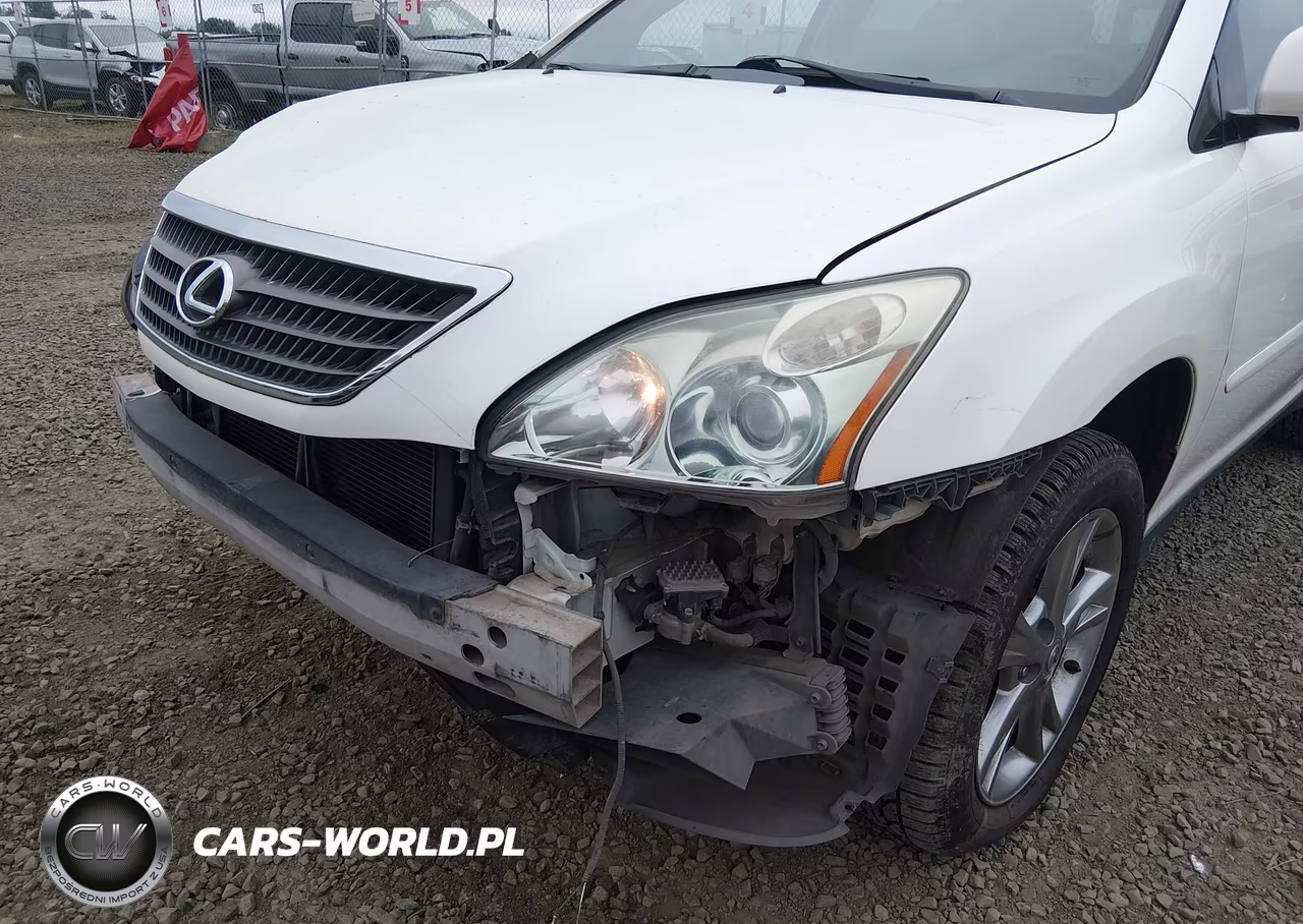 2006 Lexus Rx 400H VIN:JTJHW31UX60017060 - 18