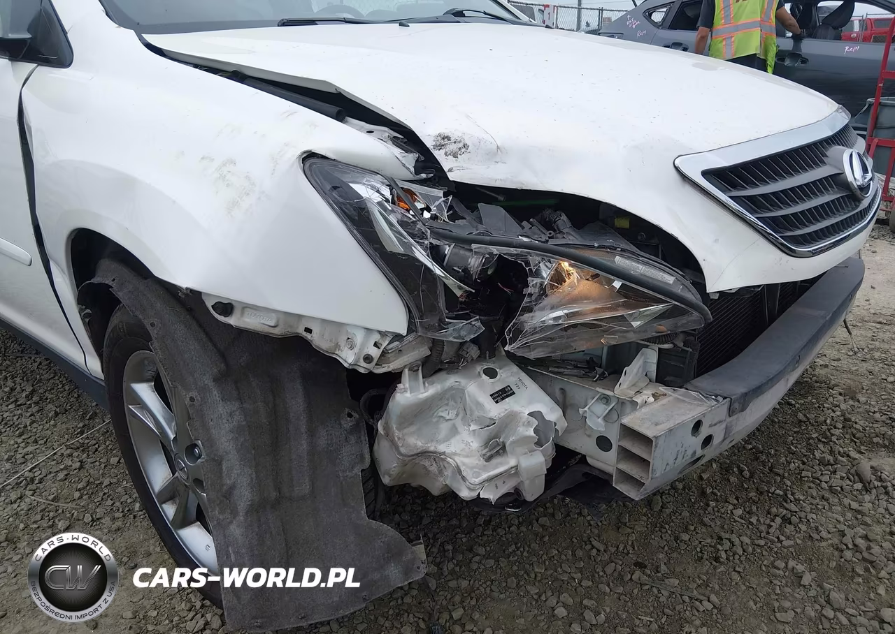 2006 Lexus Rx 400H VIN:JTJHW31UX60017060 - 19