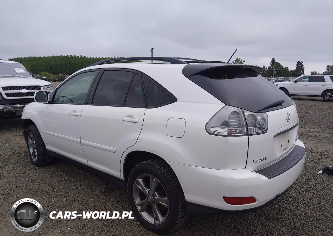2006 Lexus Rx 400H VIN:JTJHW31UX60017060 - 3