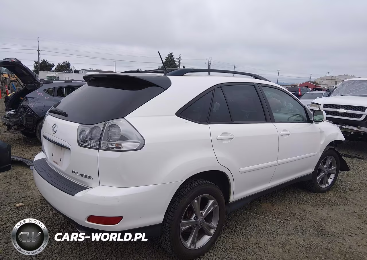 2006 Lexus Rx 400H VIN:JTJHW31UX60017060 - 4