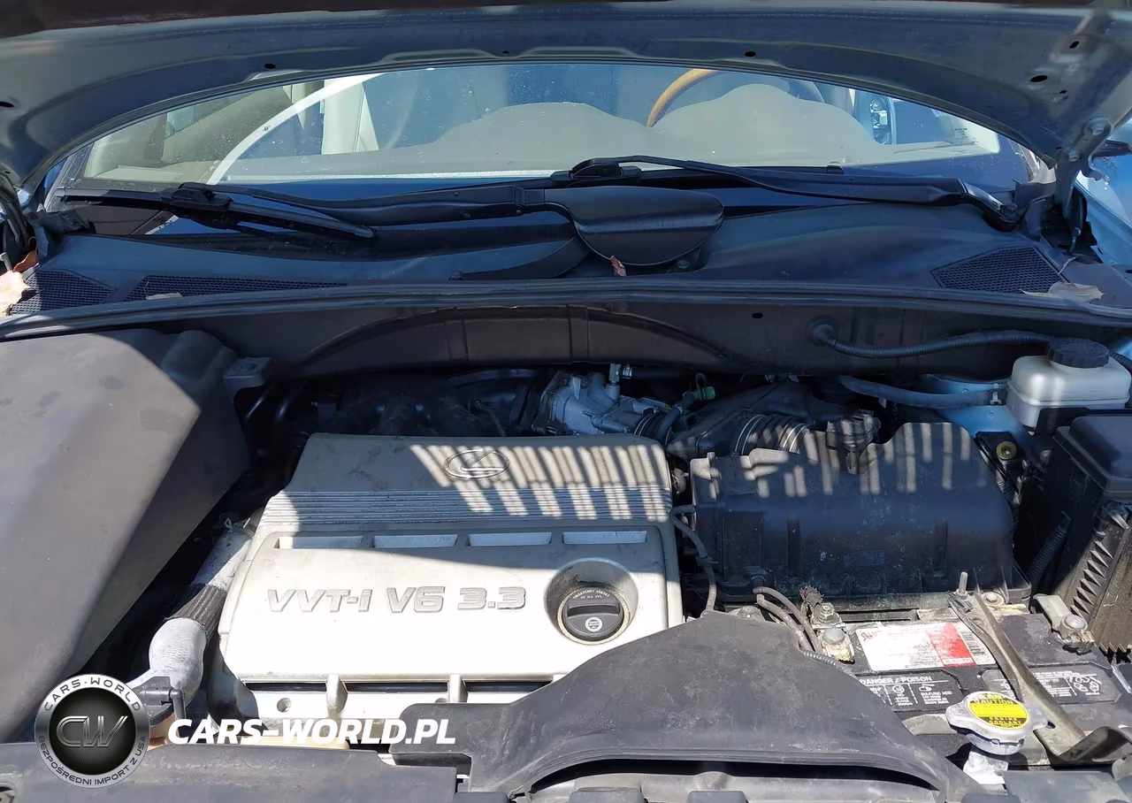 2005 Lexus Rx 330 VIN:2T2HA31U65C072333 - 10