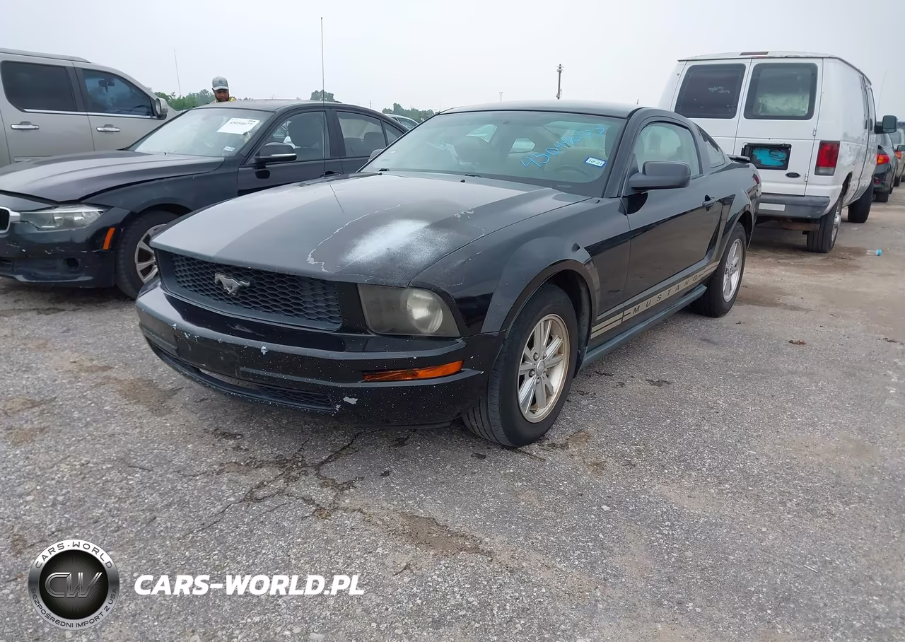 2009 Ford Mustang V6-V6 Premium VIN:1ZVHT80N695117387 - 2