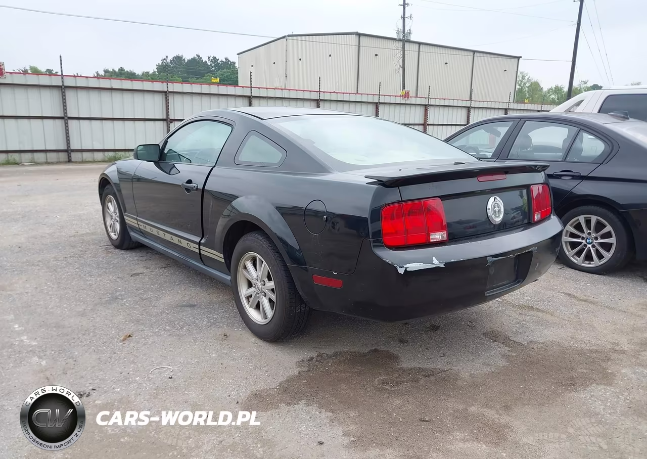 2009 Ford Mustang V6-V6 Premium VIN:1ZVHT80N695117387 - 3