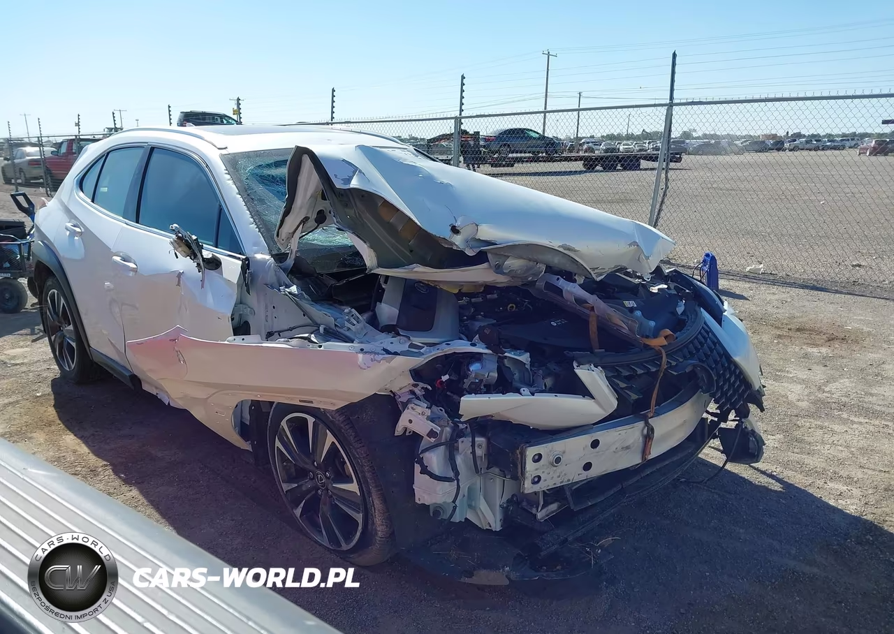 2019 Lexus Ux 200