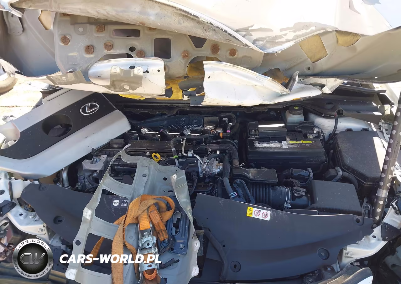 2019 Lexus Ux 200 VIN:JTHY3JBH3K2018968 - 10