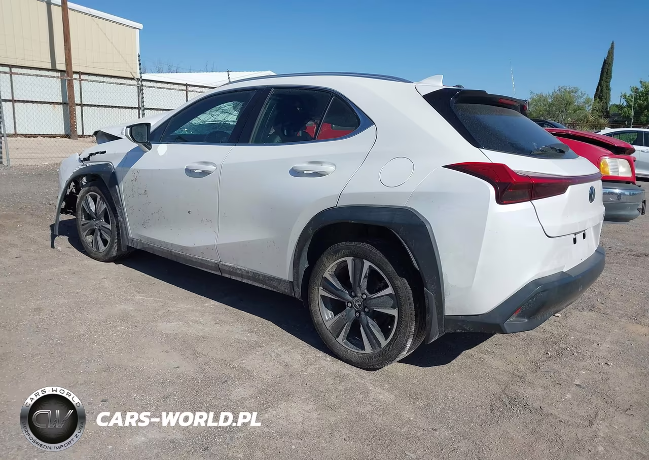 2019 Lexus Ux 200 VIN:JTHY3JBH3K2018968 - 3