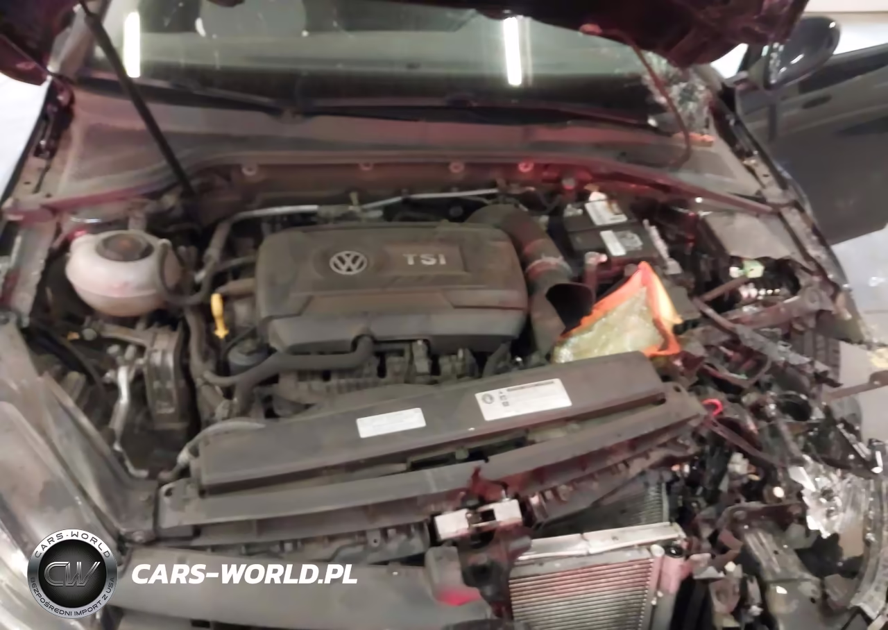 2018 Volkswagen Golf VIN:3VWG17AU6JM287619 - 10
