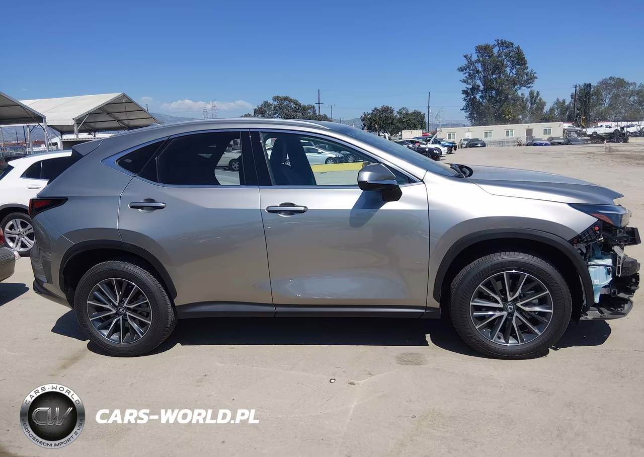 2025 Lexus Nx 250 Premium VIN:2T2GDCEZ3SC007170 - 14