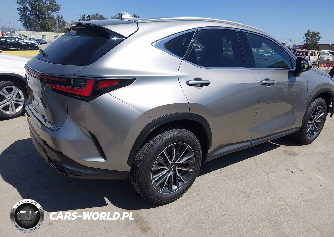 2025 Lexus Nx 250 Premium VIN:2T2GDCEZ3SC007170 - 4
